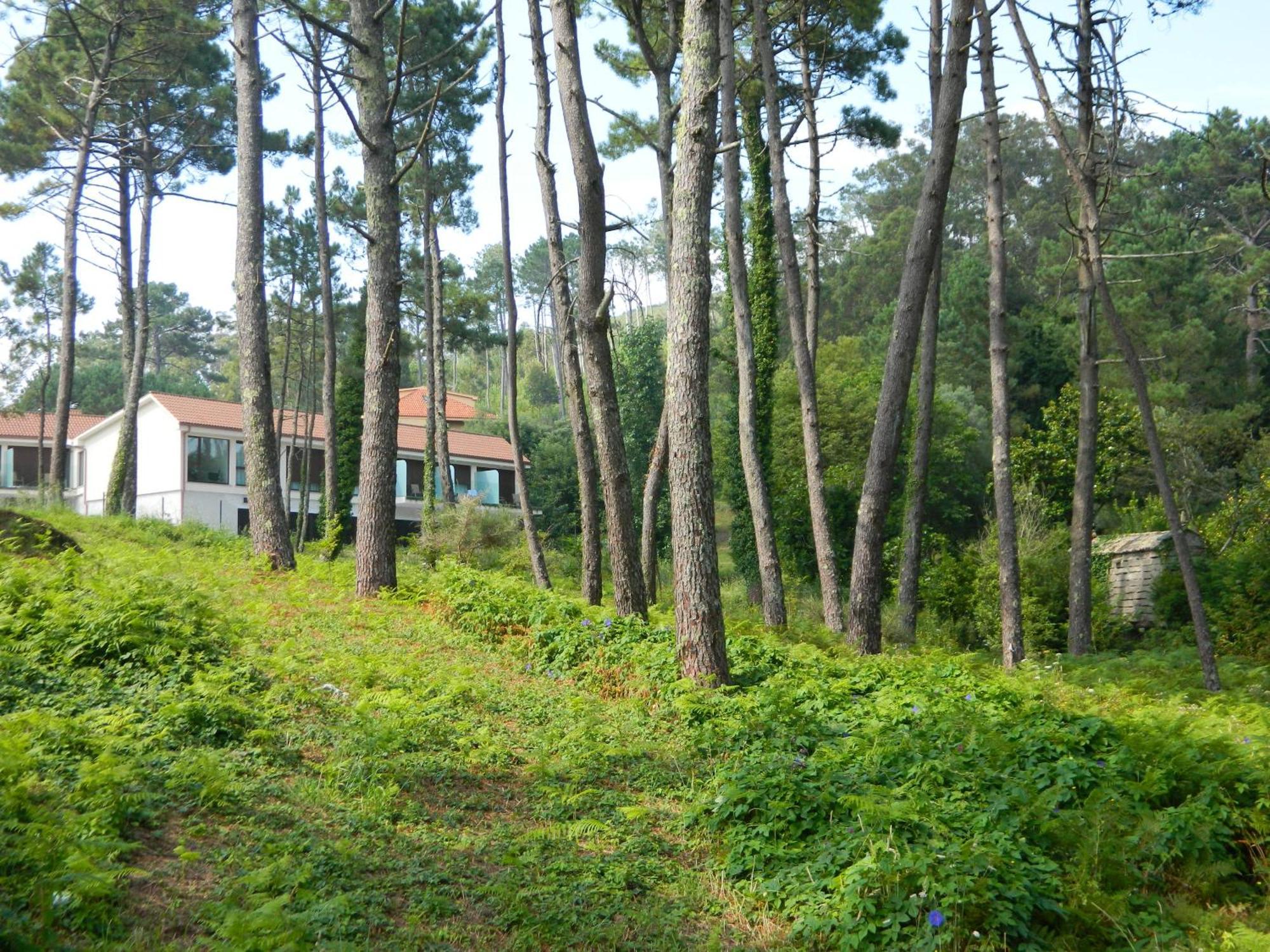 Hotel Alen Do Mar ฟินิสแตร์เร ภายนอก รูปภาพ